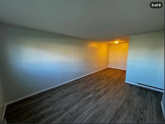 1 bed, 550 sqft, $1,690 — Photo 3