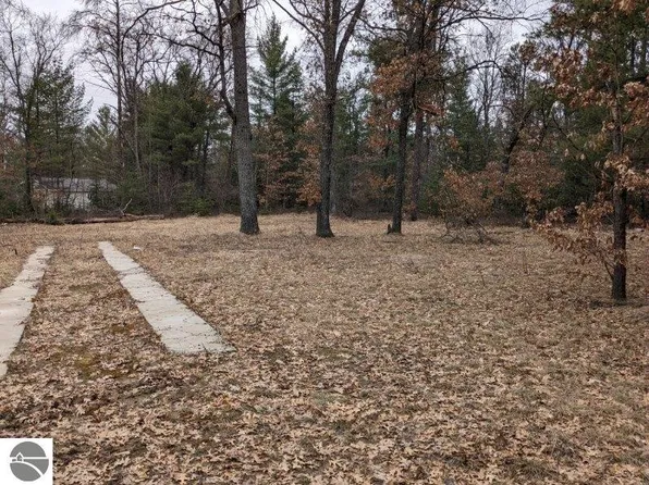 V/l Rollways Rd, South Branch, MI 48761