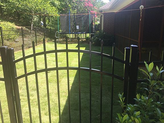 Back yard 