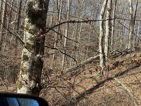 4th image of 4 Gum Lick Rd