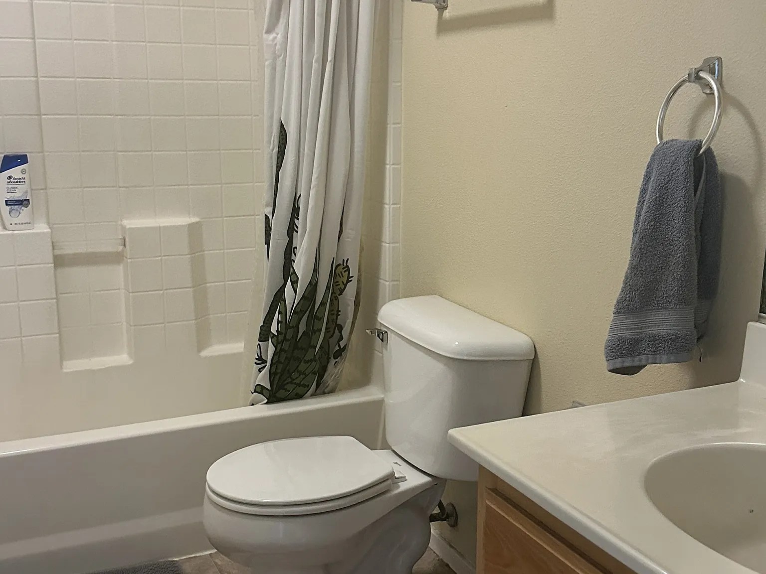 3 bed, 1223 sqft, $700 — Photo 4