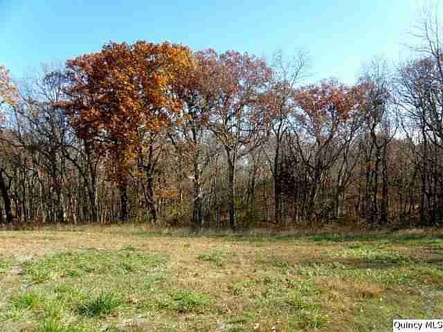 Home for Sale in Quincy, IL $95,000