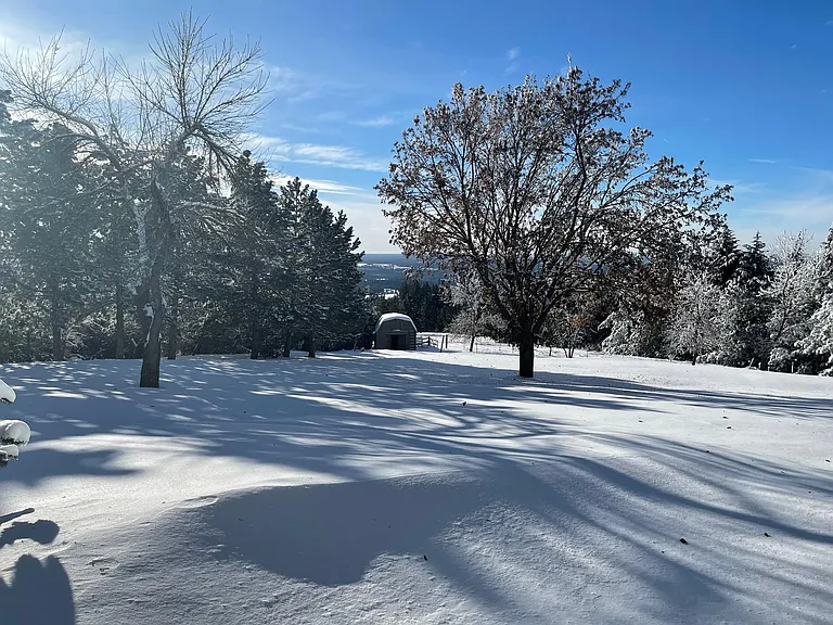 E Custer Ln — Photo 22