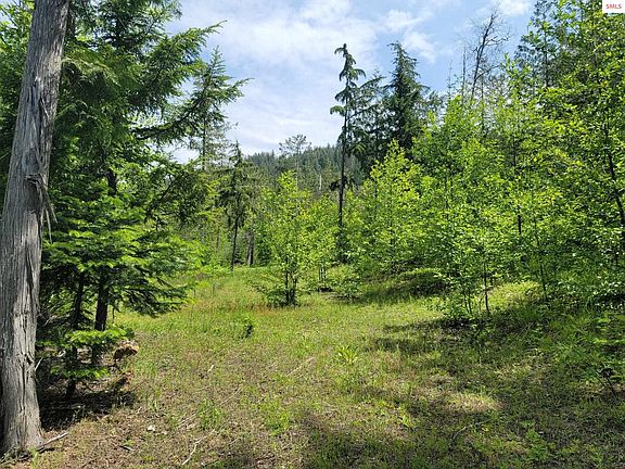 3rd image of Nna Grouse Mountain Trl