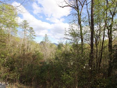 0 Gateway Forest Dr #35, Dillard, GA, 30537