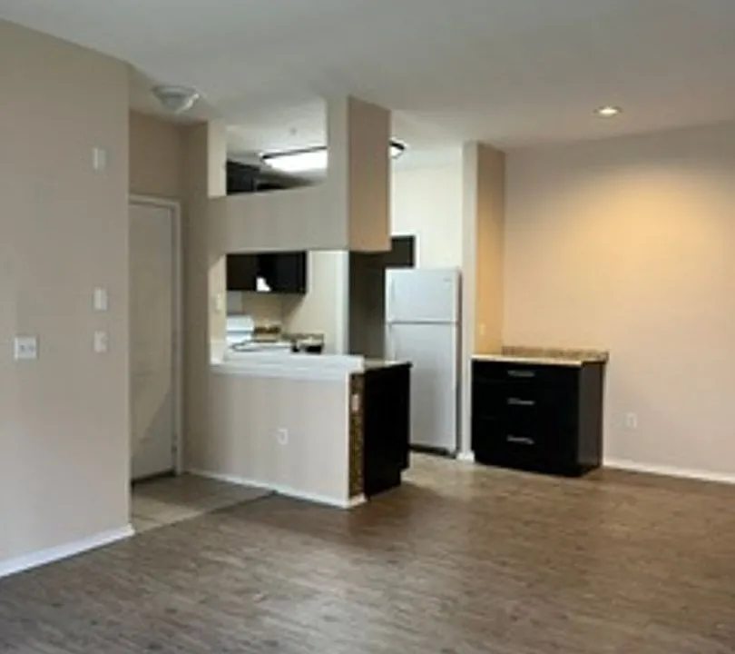 12914 Sanctuary Cove Dr #204