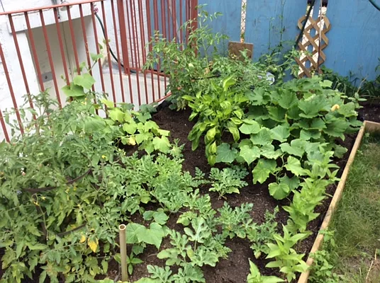 Rented by Realty Collective | media 6