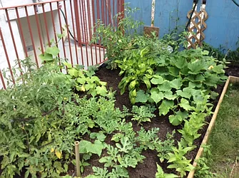 Rented by Realty Collective