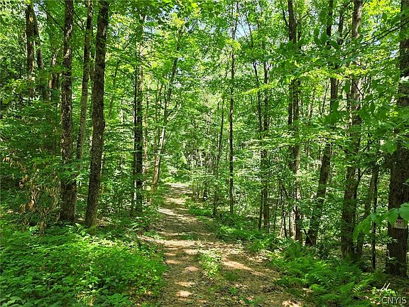 5th image of Creekview Dr #10