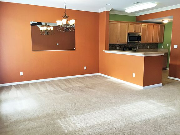 Lots Of Natural Light