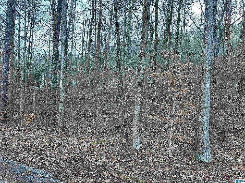 2nd image of 0 Valley Ln #0