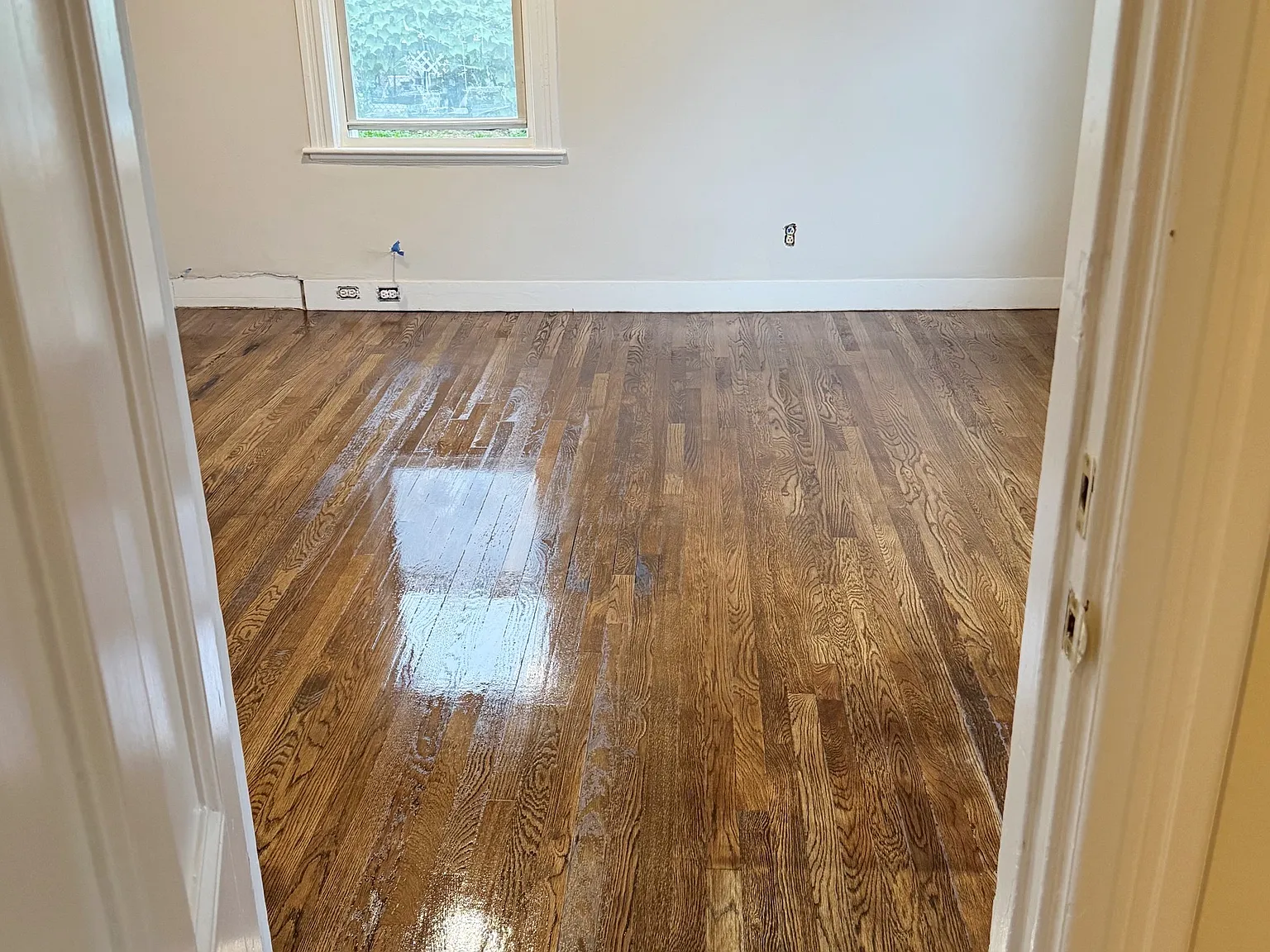 1 bed, 250 sqft, $1,700 — Photo 3