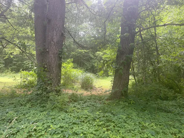 Vacant Lot Miami Ave, Grand Junction, MI 49056