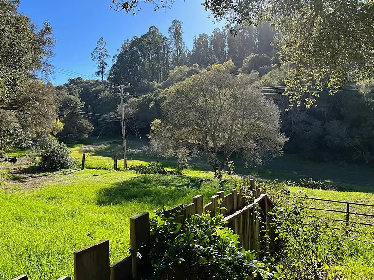 Hambey Ln — Photo 29