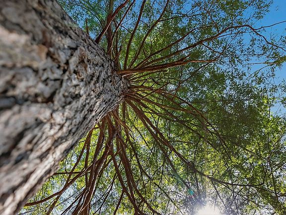 4th image of 573AC Daus Mountain Rd