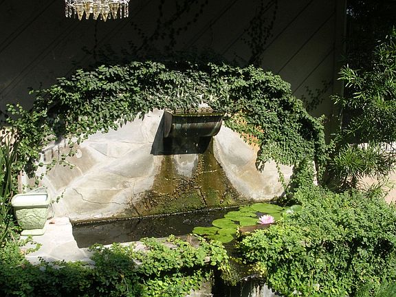 Water Feature Leading to Front Door