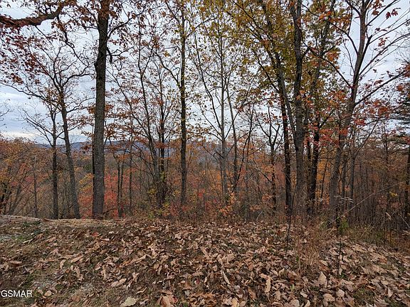 4th image of 2313 Grey Fox Run Lot 13