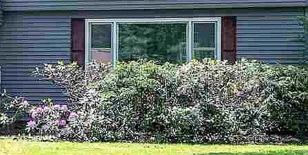 1st image of 99 Twicwood Ln