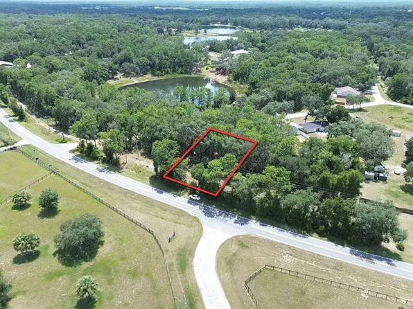 TBD SE 180TH AVE ROAD LOT 8, OCKLAWAHA, FL 32179