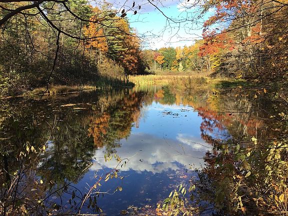 3rd image of 513 Nys Route 29