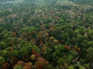 0 Twin Forks Road Martin Rd TRACT 2, Statesboro, GA 30458