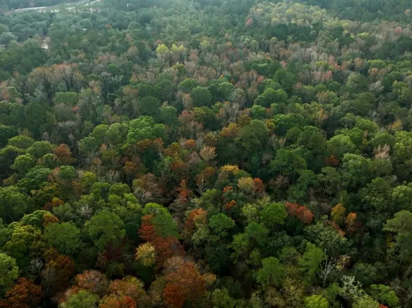 0 Twin Forks Road Martin Rd Tract 2, Statesboro, GA 30458