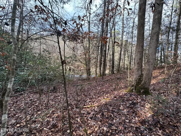Little Bear Trl, Cosby, TN 37722