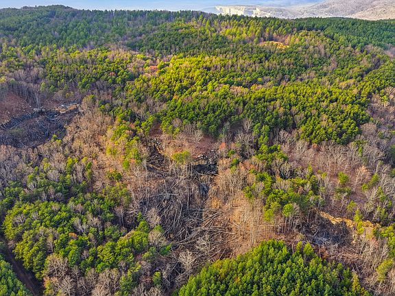 4th image of 2154 Fallen Oak Pass