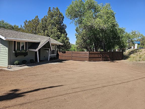 Beautiful trees for privacy