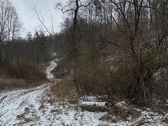 3rd image of 0 Briar Fork Rd