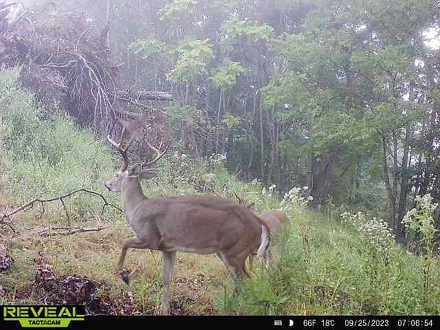 2nd image of 16857 Railroad Cut Rd