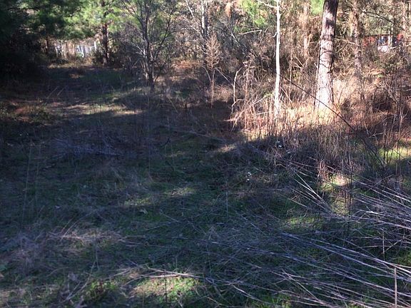 4th image of 668 County Road 3408