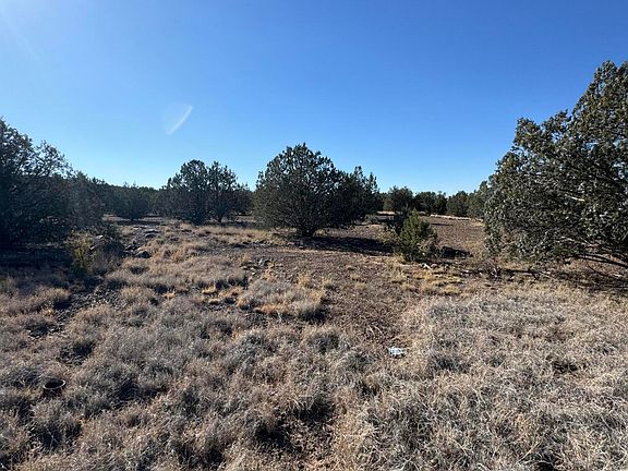 4th image of 1734 W Skyline Dr