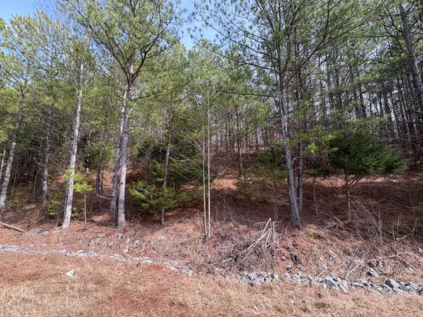 TRACT 1C Cleveland Hwy #1A, Cohutta, GA 30710