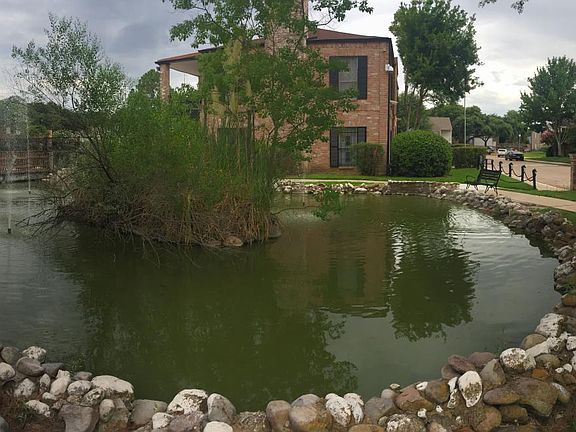 Nice pond with koi fish and turtles
