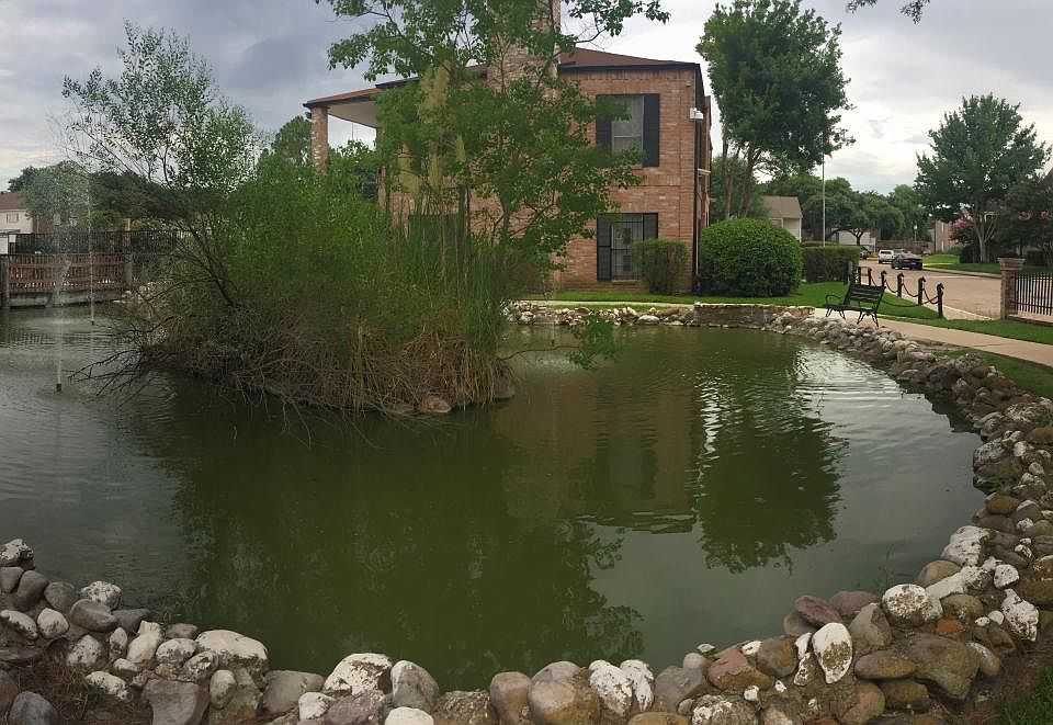 Nice pond with koi fish and turtles