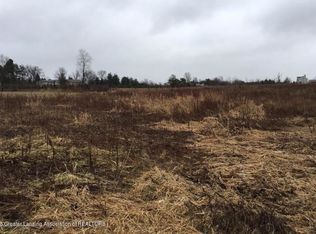 7443 W Howe Rd, Dewitt, MI 48820