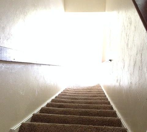 4th image of 3629 NE 19th Pl