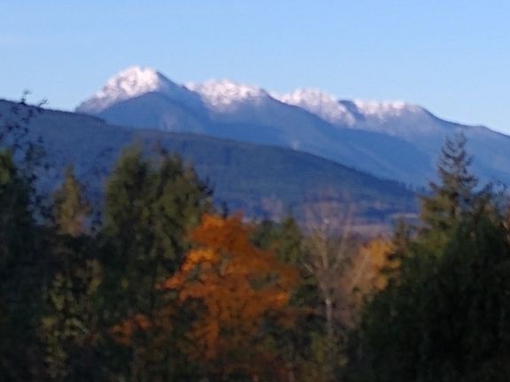 VIEW FROM THE DECK, LIVING ROOM AND BEDROOMS.