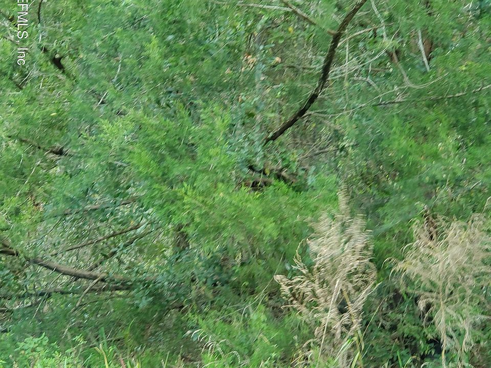 1st image of 0 MCLAURIN Road