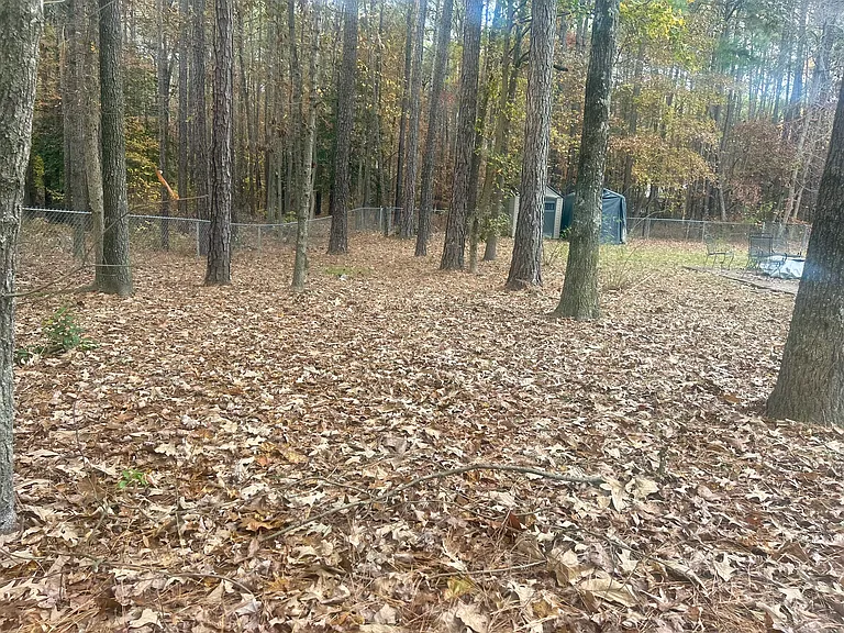 One Backyard View with Fenced In Area