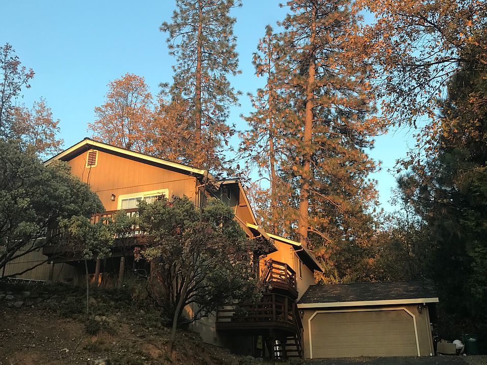 Living in the Pines