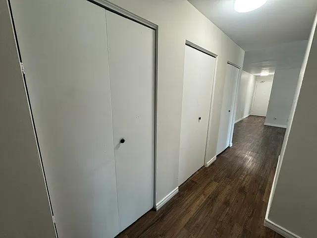 236 Louisa St #1B — Photo 13