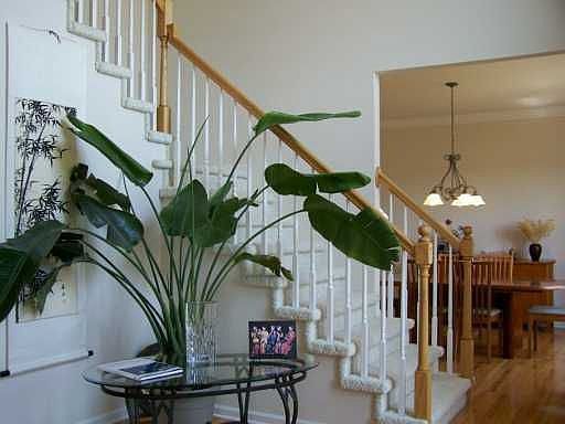 5th image of 4415 White Pine Ct