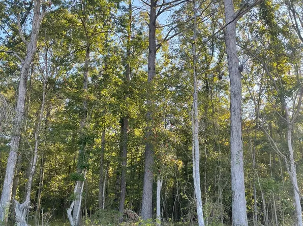 490 Highway, Louisville, MS 39339