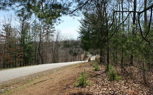 2nd image of 26 Arrowood Pointe