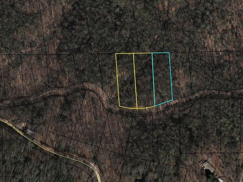 1st image of 0 Orchid Lots 368 369 And #370