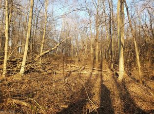 Harris St, Lodi, OH 44254