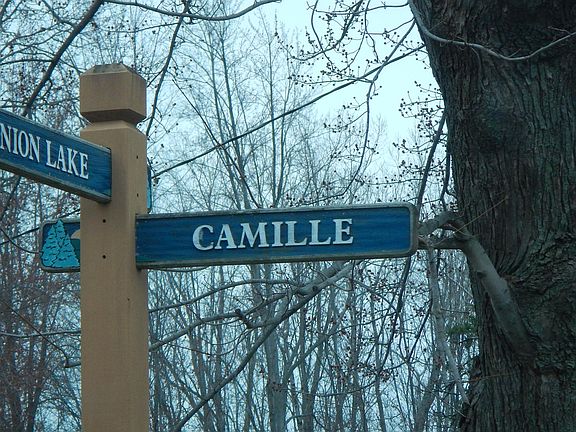 5th image of 24795 Camille Dr