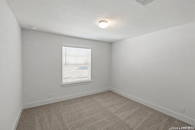 413 Hinsdale Run — Photo 33